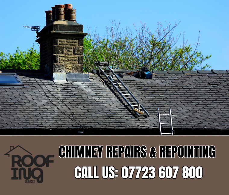 Chimney repair and repointing services in Newton Abbot