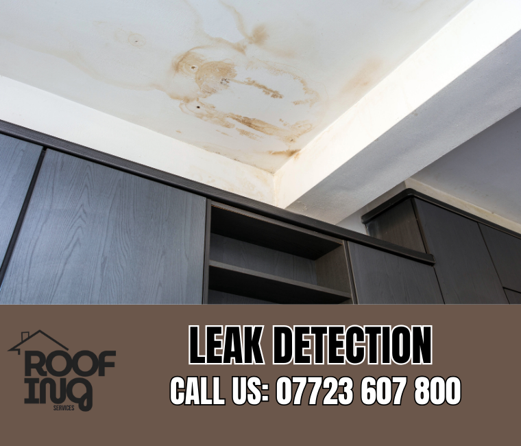 Roof leak detection and repair in Newton Abbot