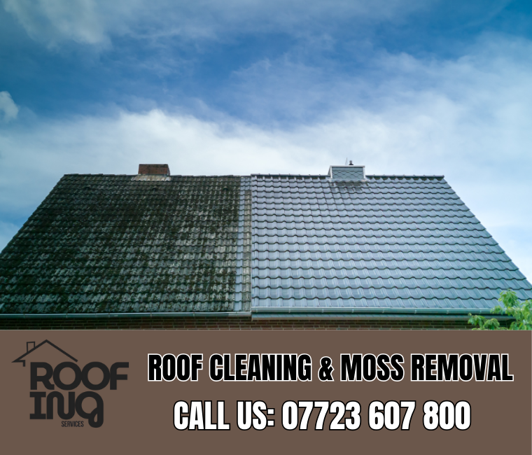 Roof Cleaning in Newton Abbot