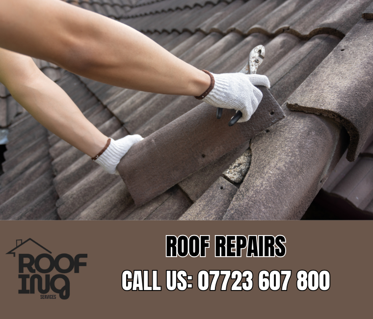 Professional roof repair services in Newton Abbot